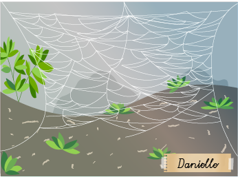 Terrarium mit Spinnennetz